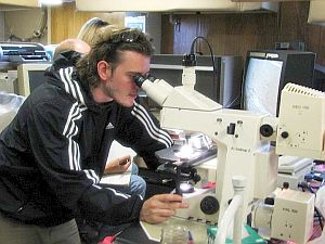 Microscope viewing of Lake Superior Plankton Net Samples
