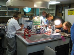 Participants are busy working in one of the ship's labs