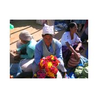 553_Flower_woman_in_the_market.html