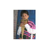 129_Sampona_player.html