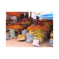 245_The_market.html