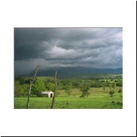 007_The_Daily_Storm.html