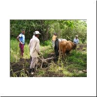 009.5_Plowing-for_for_the_pipe_ditch.html