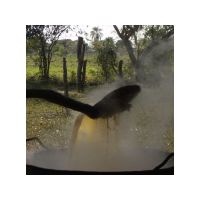 20_mmm_sugar_cane_syrup.jpg
