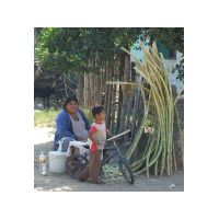 26_Sugar_cane_for_sale.jpg