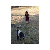 90_girl_with_goat.jpg