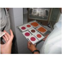 ESPSteve052108034.jpg