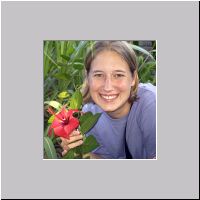 2006.html
